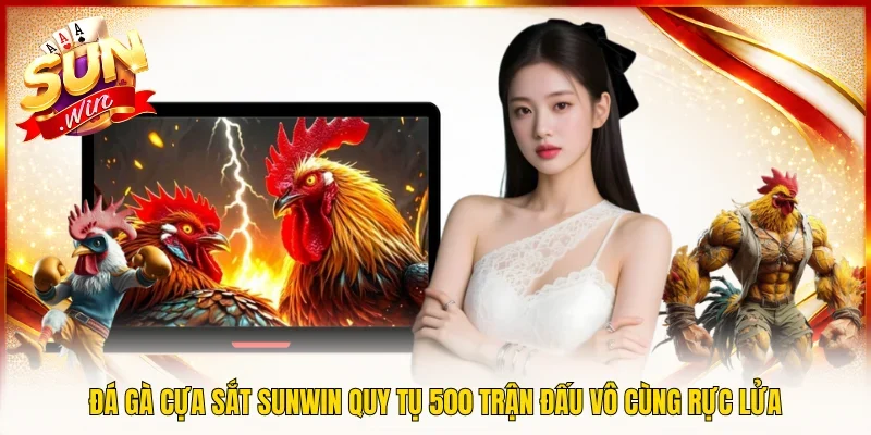 Đá Gà Cựa Sắt SUNWIN Quy Tụ 500 Trận Đấu Vô Cùng Rực Lửa