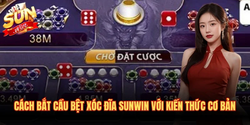 Cách Bắt Cầu Bệt Xóc Đĩa Sunwin Dành Cho Tân Binh Mới 2 Cách bắt cầu bệt xóc đĩa Sunwin với kiến thức cơ bản