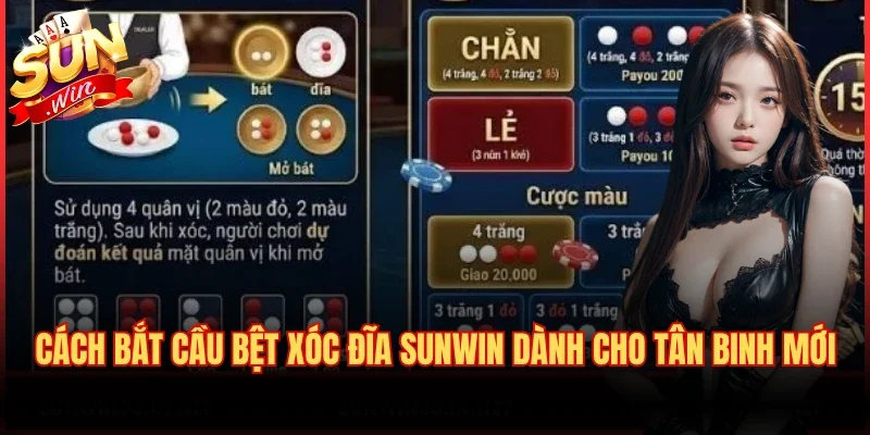 Cách Bắt Cầu Bệt Xóc Đĩa Sunwin Dành Cho Tân Binh Mới 4 Cách Bắt Cầu Bệt Xóc Đĩa